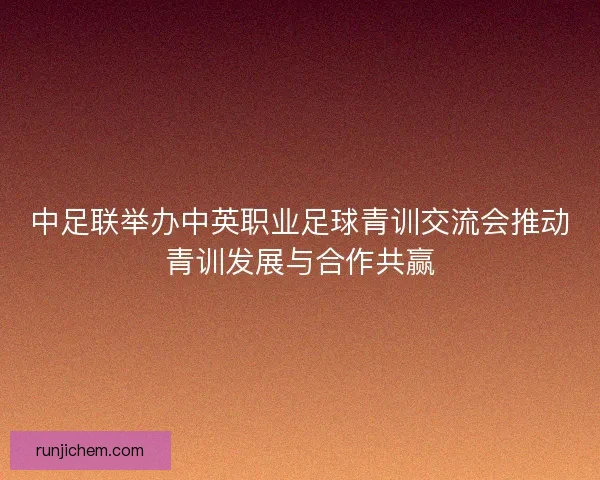 中足联举办中英职业足球青训交流会推动青训发展与合作共赢