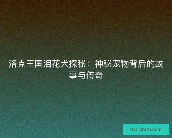 洛克王国泪花犬探秘：神秘宠物背后的故事与传奇